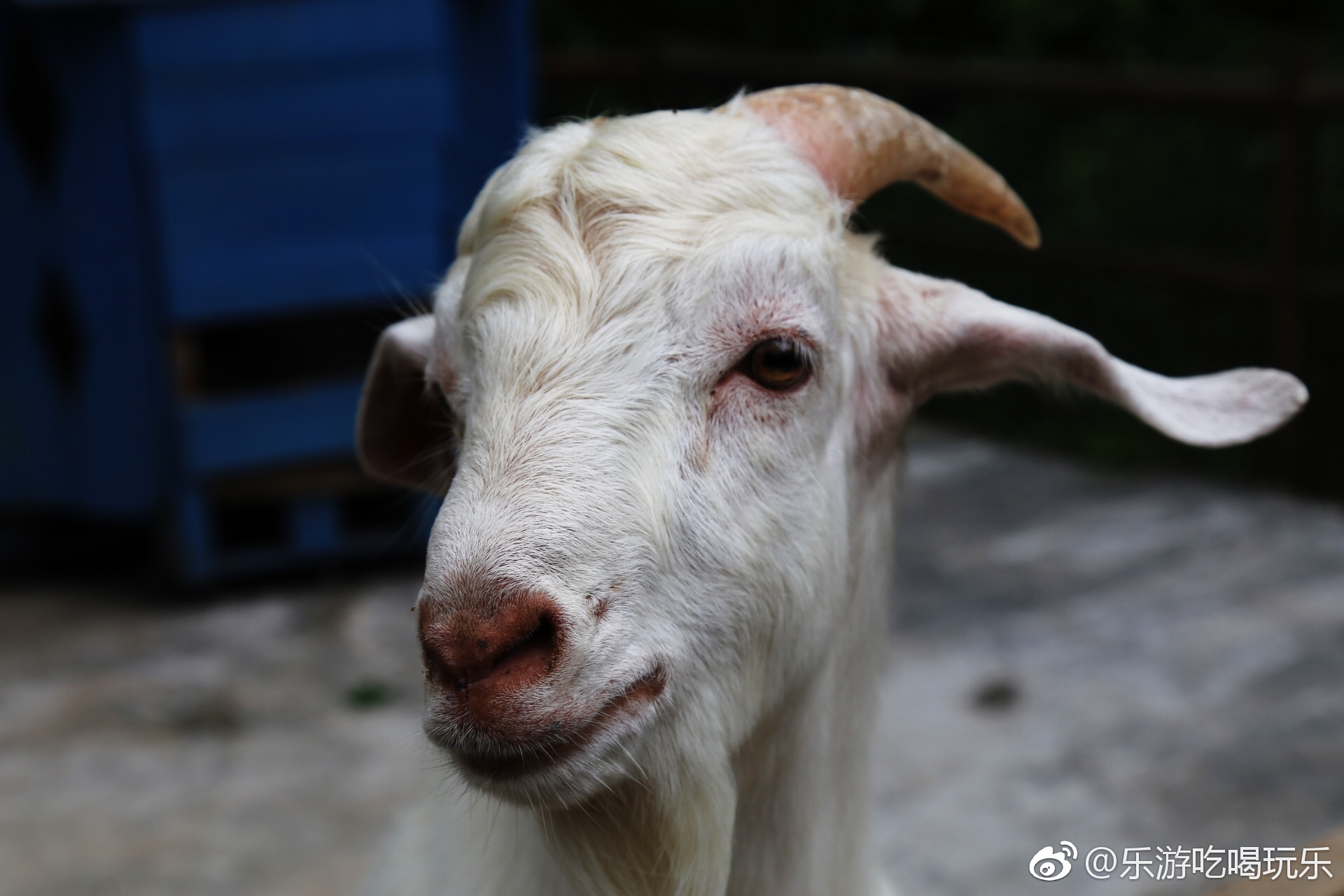 南京苏家文创小镇—升级版的美丽乡村|苏家文|乐园|红羊_新浪新闻