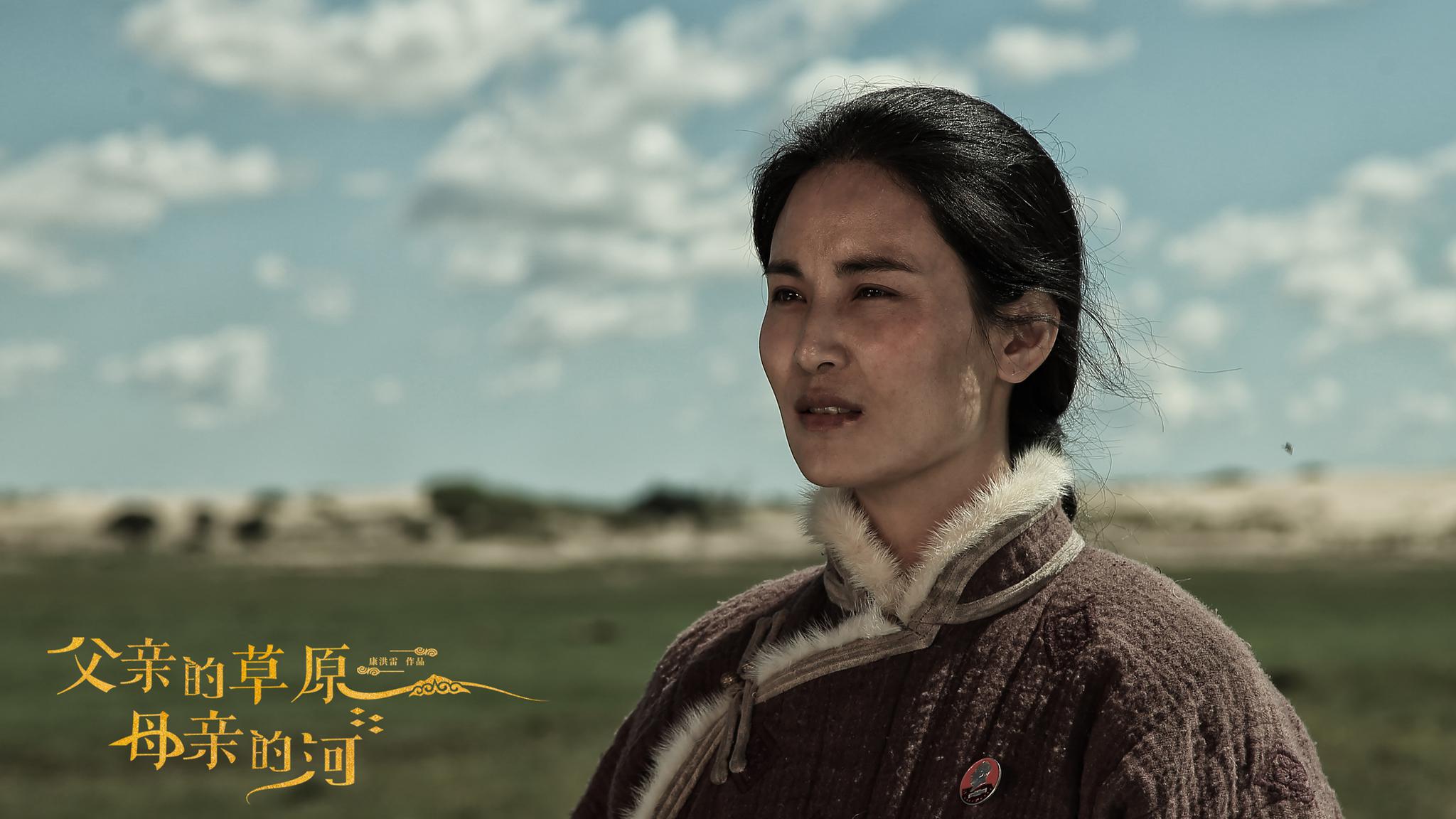 创作过激情燃烧的岁月,士兵突击,我的团长我的团等经典作品的王牌导