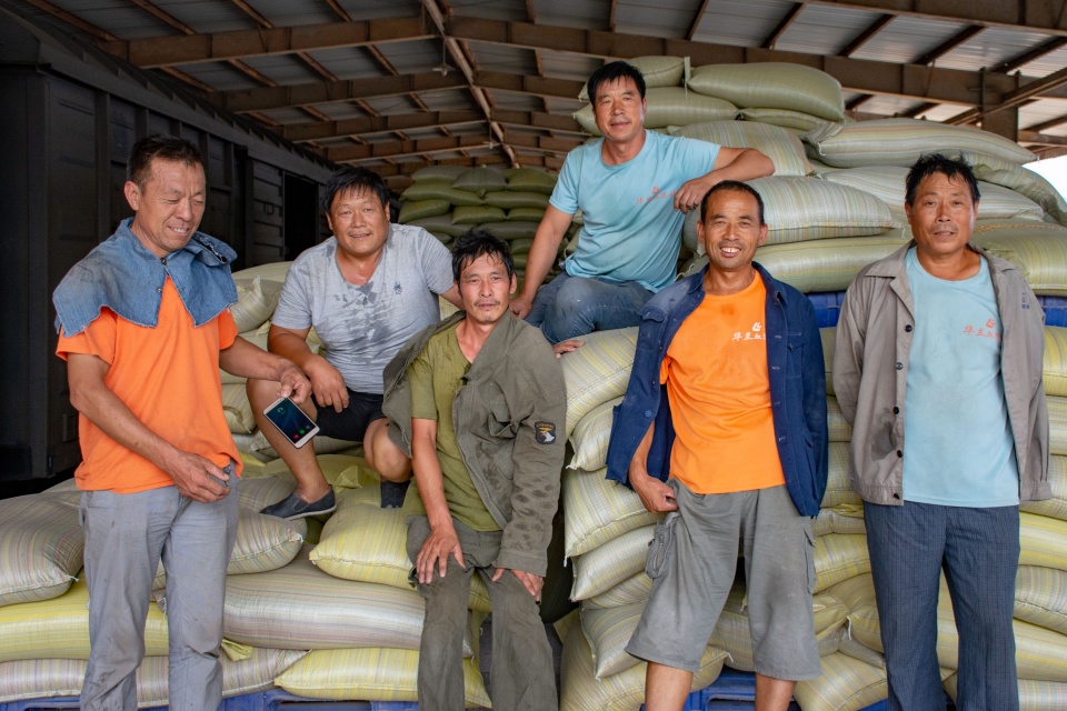 600吨玉米装十节火车,10位农民装卸工8小时装完,每人分得730元