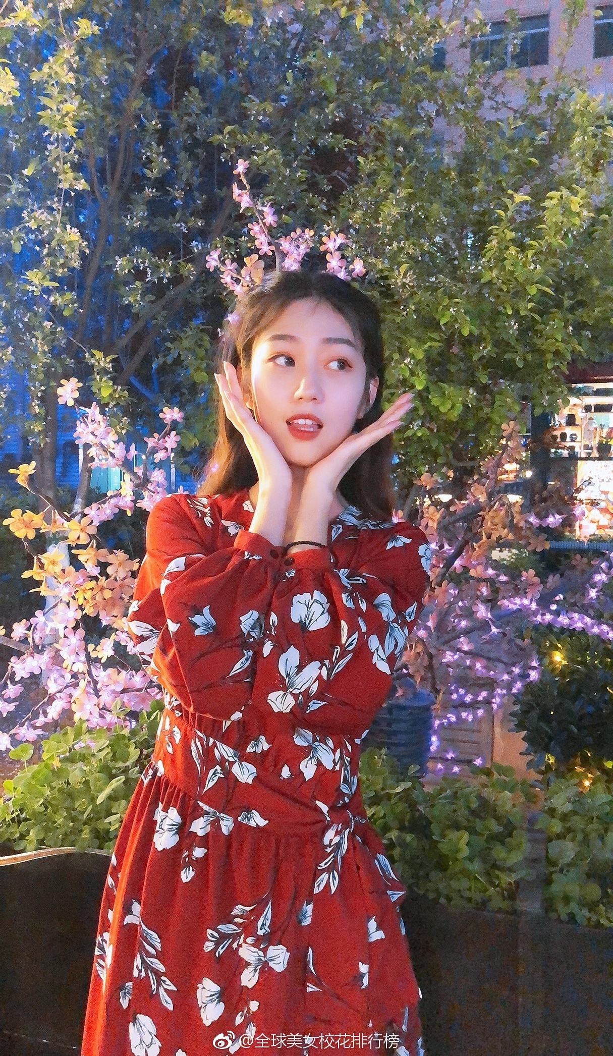 我的校花老婆人物形象和小说剧情介绍 秦龙苏月婵的故事讲什么