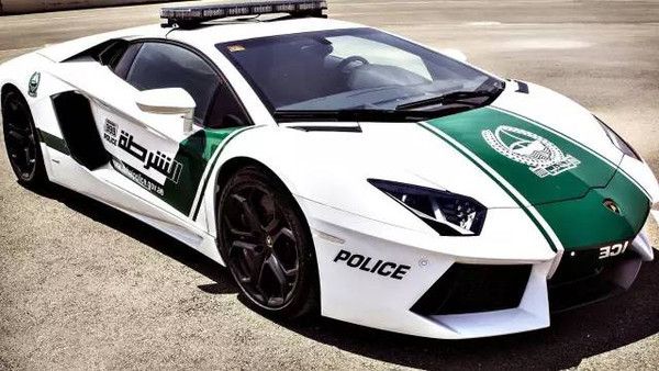 各国警车都有啥：英国太豪，美国用它，中国竟然用这些车当警车