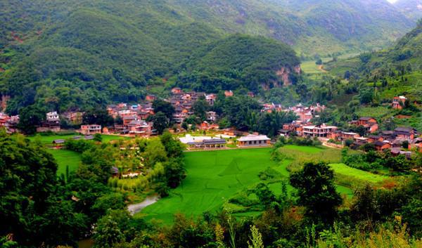 冷门育发精华效果如何 凯迪拉克CT4值不值得买