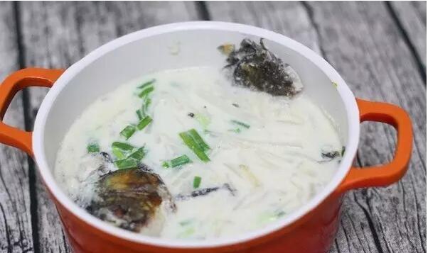 经典下奶汤第二弹: 奶汁鲫鱼汤