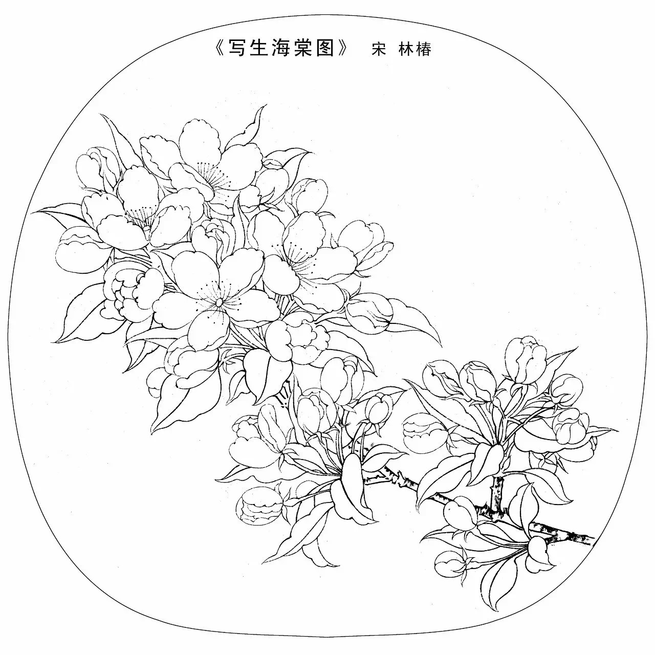 宋代花鸟小品白描图