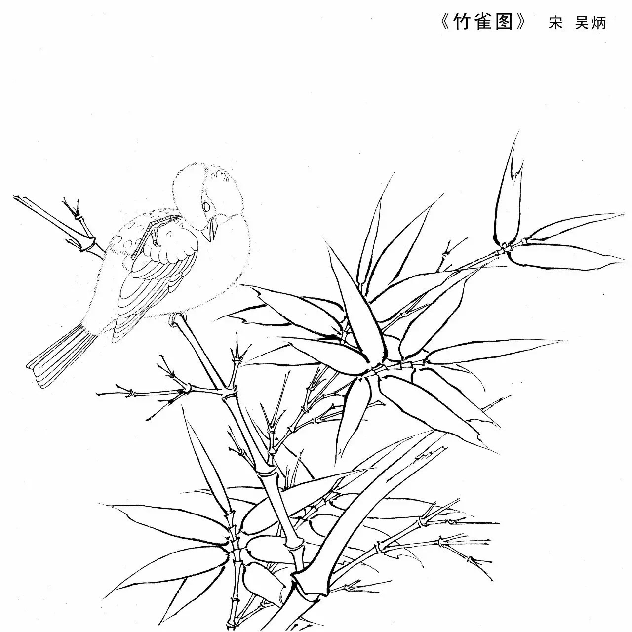 即使是屏蔽了原有色彩的花鸟白描图稿,依然如此美妙…… 67宋画之美