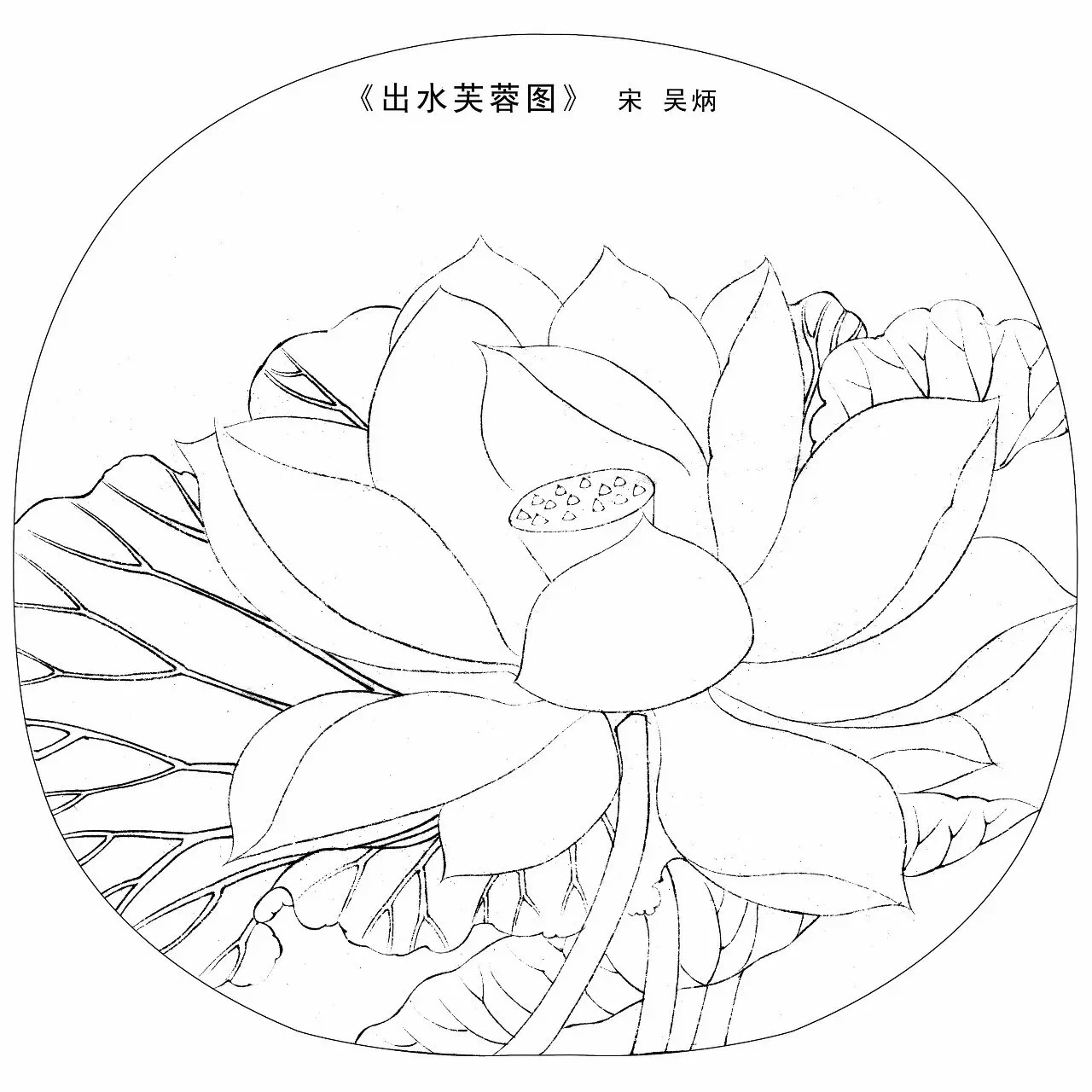 即使是屏蔽了原有色彩的花鸟白描图稿,依然如此美妙…… 67宋画之美