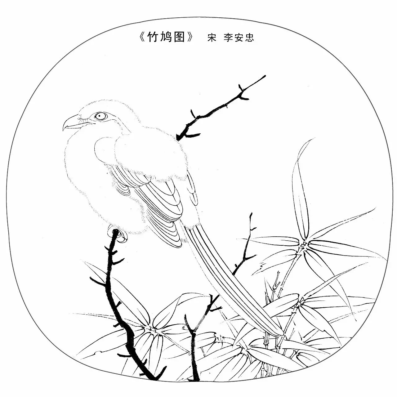 即使是屏蔽了原有色彩的花鸟白描图稿,依然如此美妙…… 67宋画之美