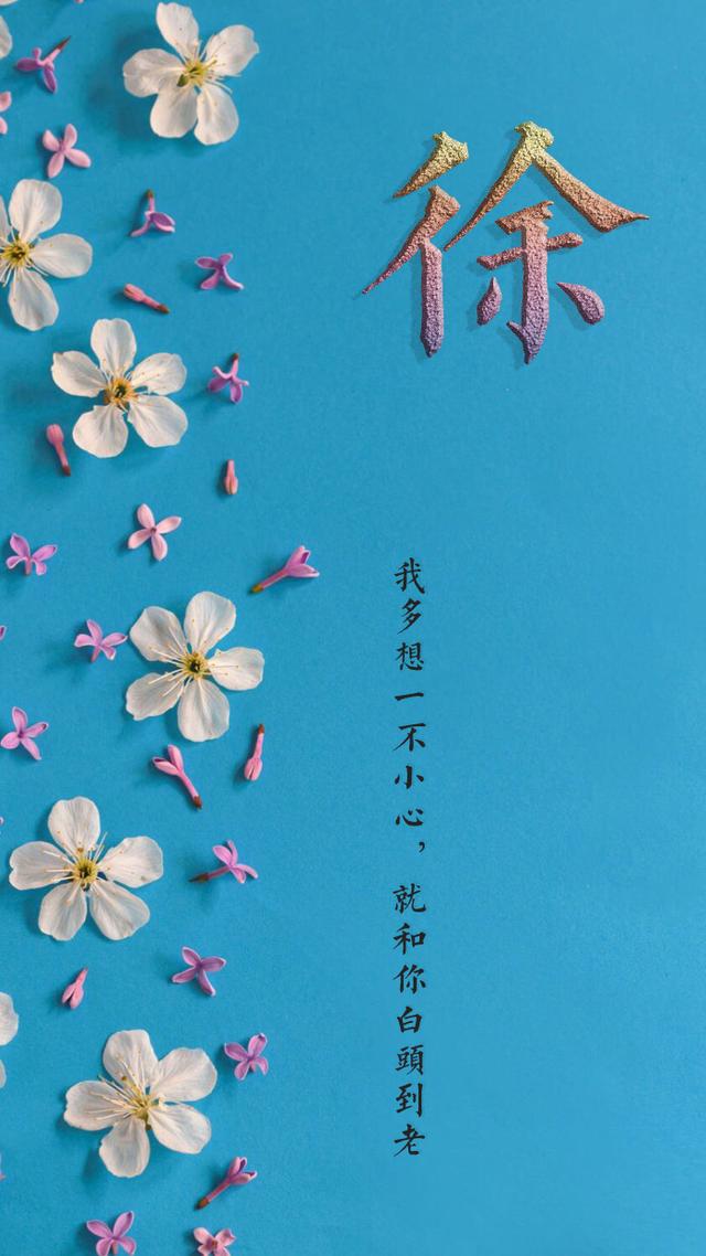 名字壁纸手机锁屏百家姓氏壁纸50张喜欢请带走