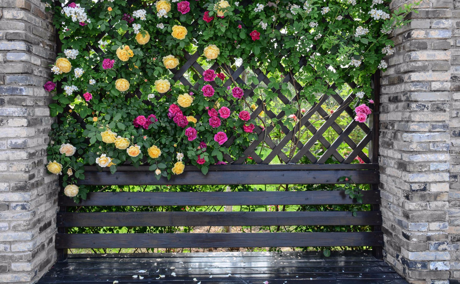 花の墙,这注定就是一个浪漫的季节,到处是鲜花.