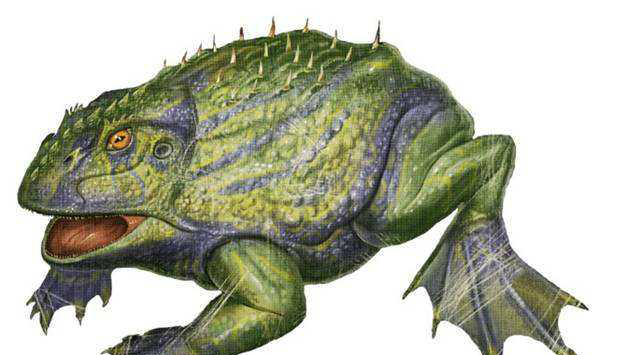 别小瞧青蛙,7000万年前魔鬼蛙可吞食恐龙