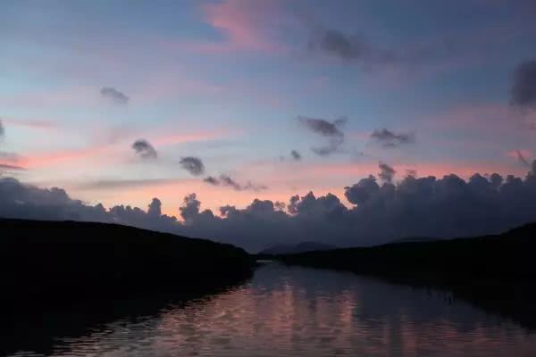 厦门周边藏了一个亚马逊被誉为北回归线北侧最美的海底森林