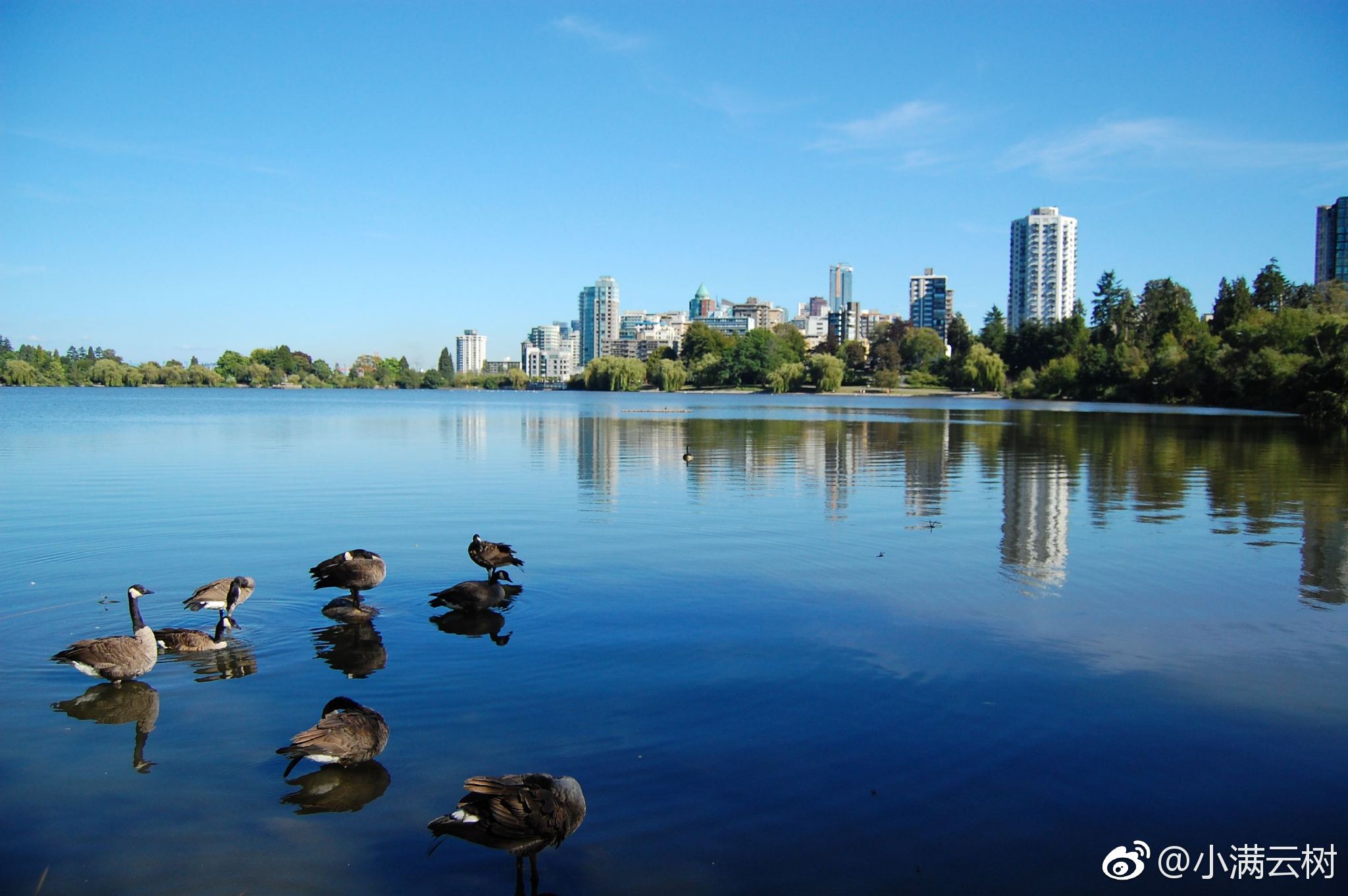 温哥华的斯坦利公园(stanley park),是北美地区最大的都市公园之一