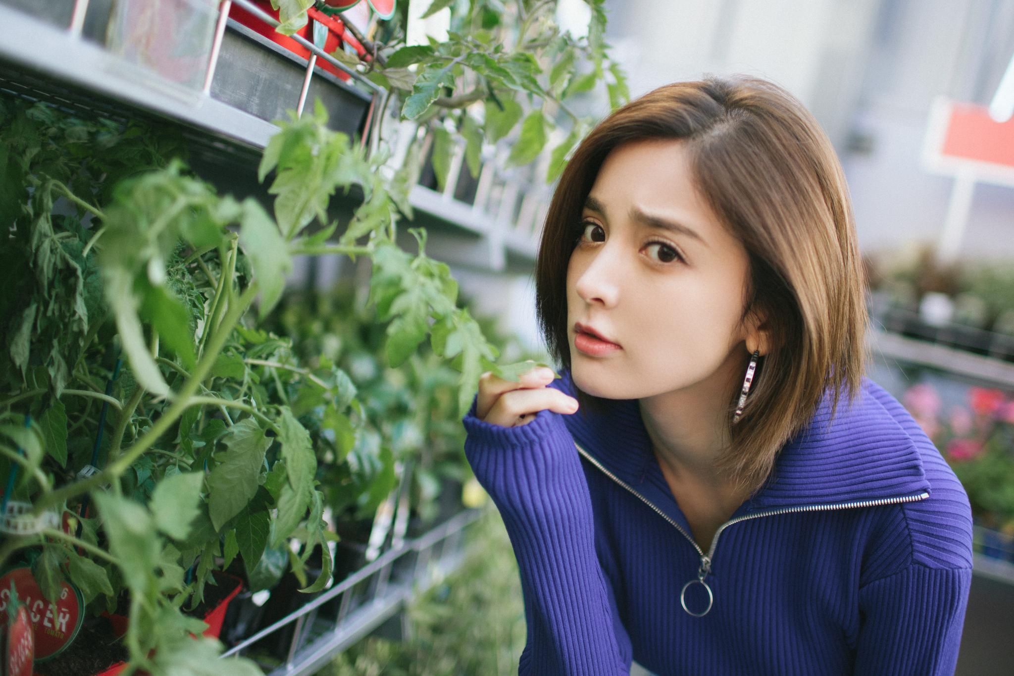 古力娜扎一组花房内的写真.照片中,娜扎身着蓝色短款翻领毛衣