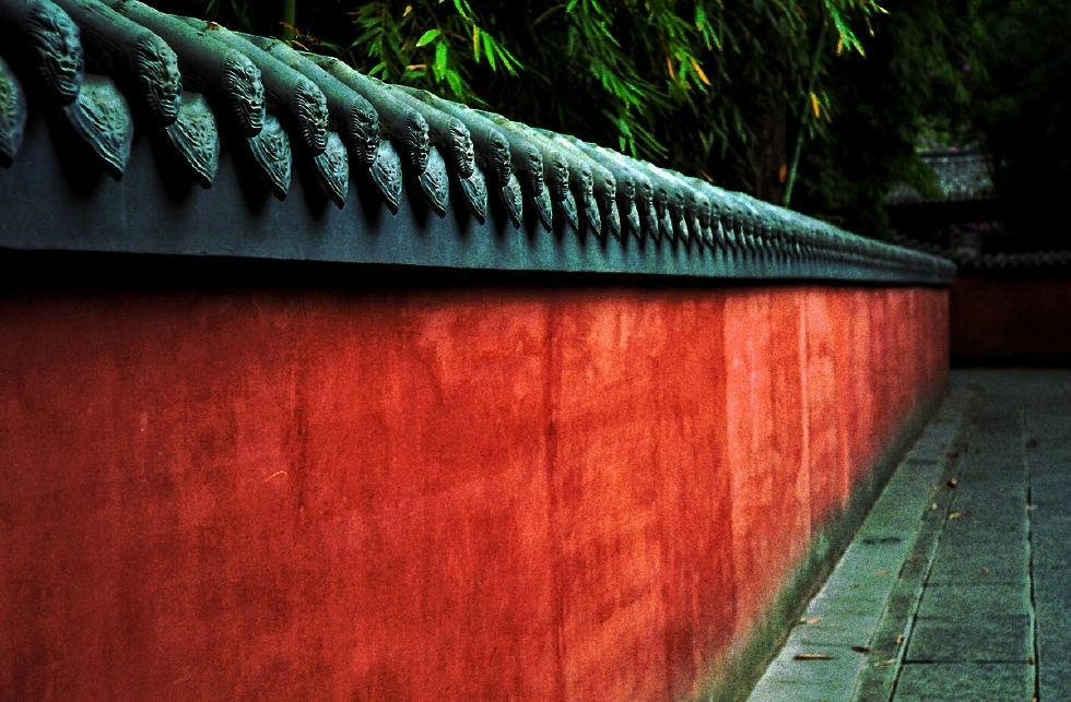 胶片摄影,红墙内,杜甫草堂