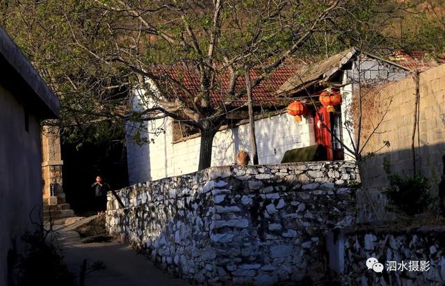 「泗水乡村美景」大山深处有人家