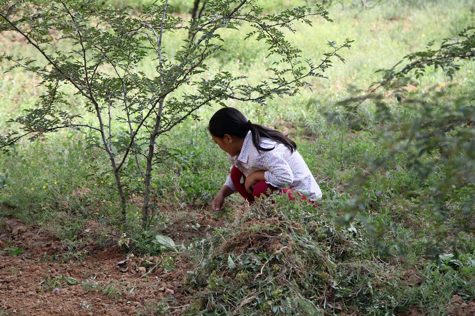 农村54岁母亲总牵挂32岁女儿,外孙11岁她还把女儿带在身边