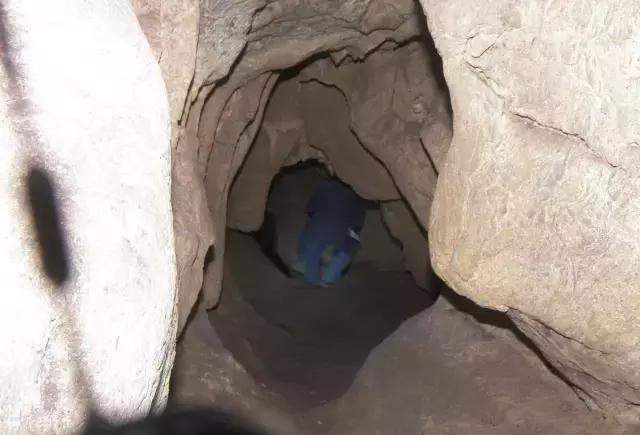 汉中市镇巴县米家坝村一处不起眼的小洞口,附近的村民无意中发现了