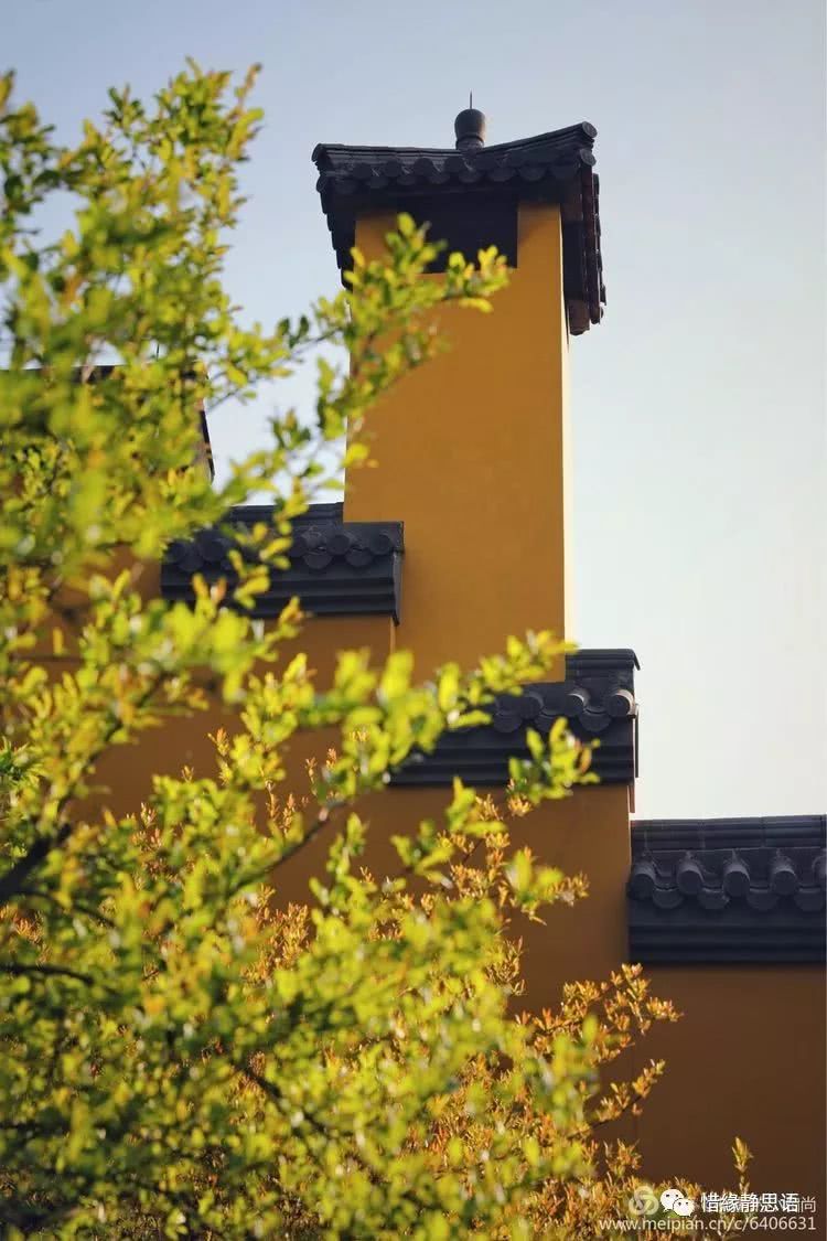 觅禅踪佛国佛系摄影