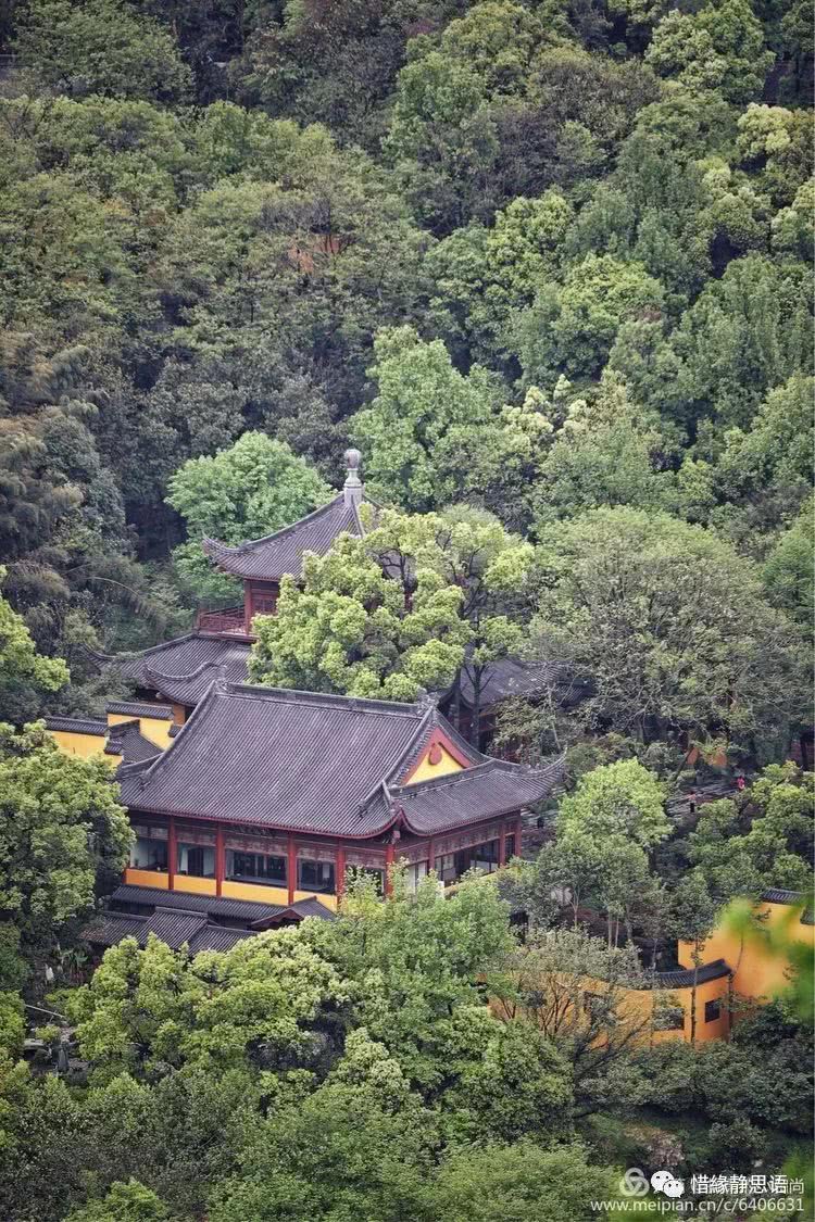 觅禅踪佛国佛系摄影