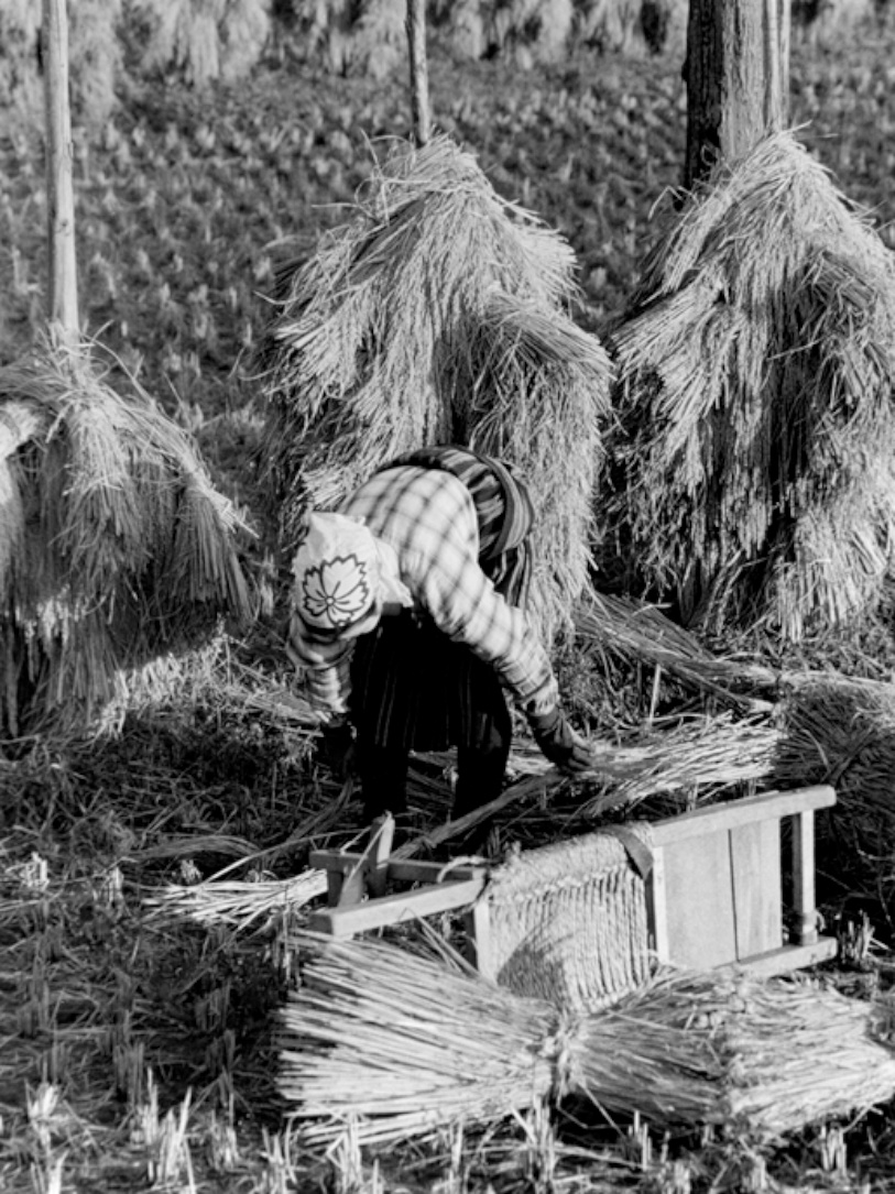 老照片 | 五十年代日本乡村.滨谷浩