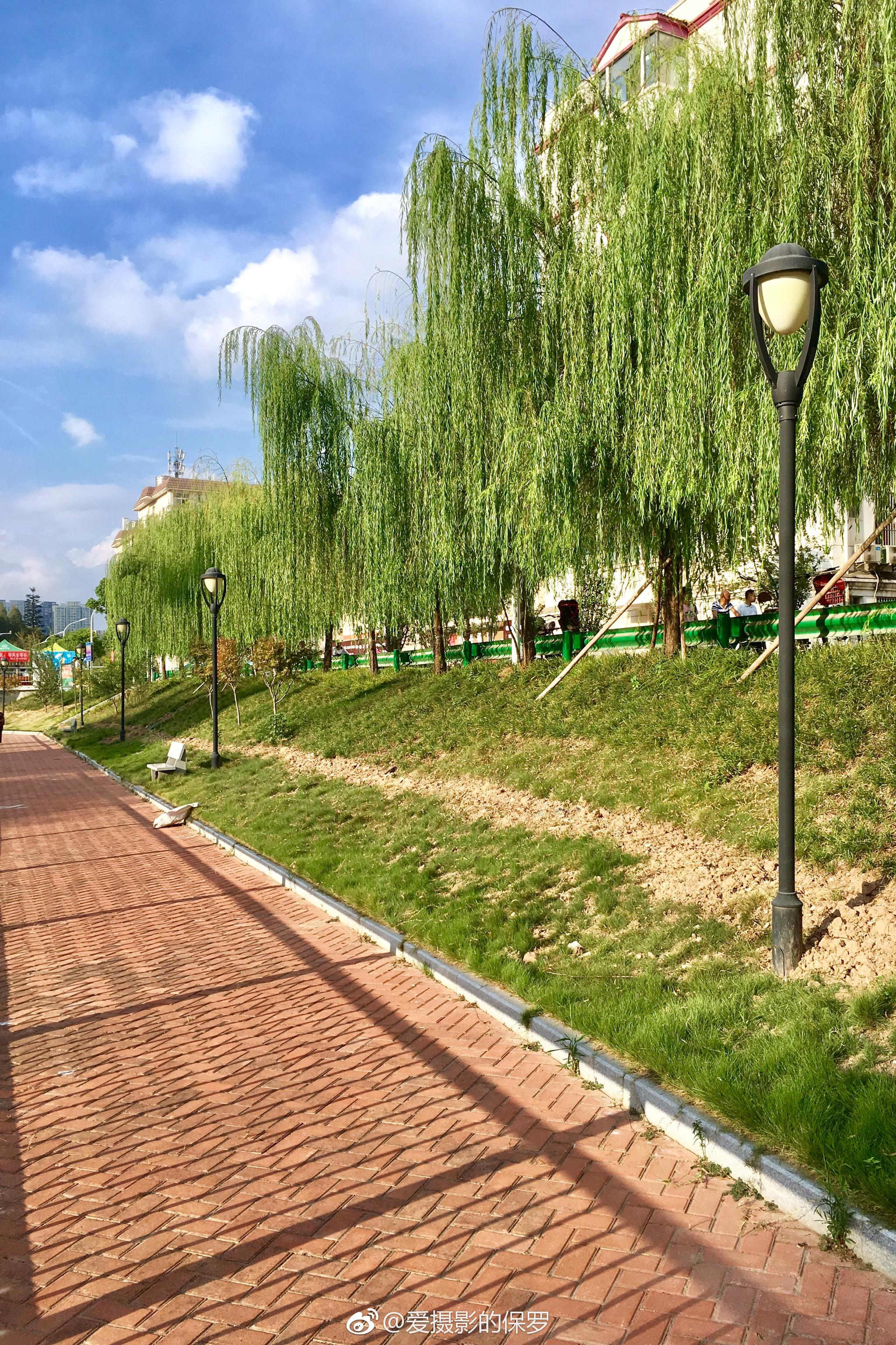 饱受交通堵塞的大南湖社区马上迎来武汉地铁七|大南湖|巡司河|社区