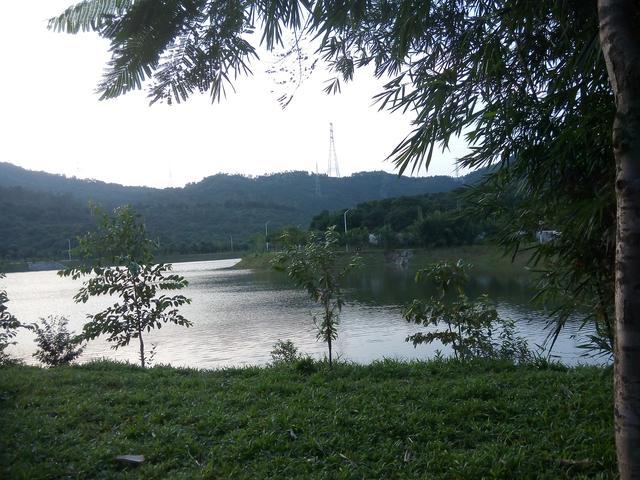 东莞凤岗的这个森林公园,非常适合徒步和骑行