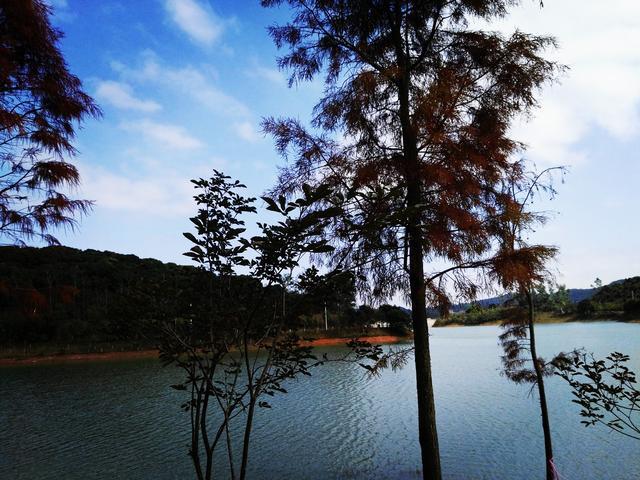 东莞凤岗的这个森林公园,非常适合徒步和骑行