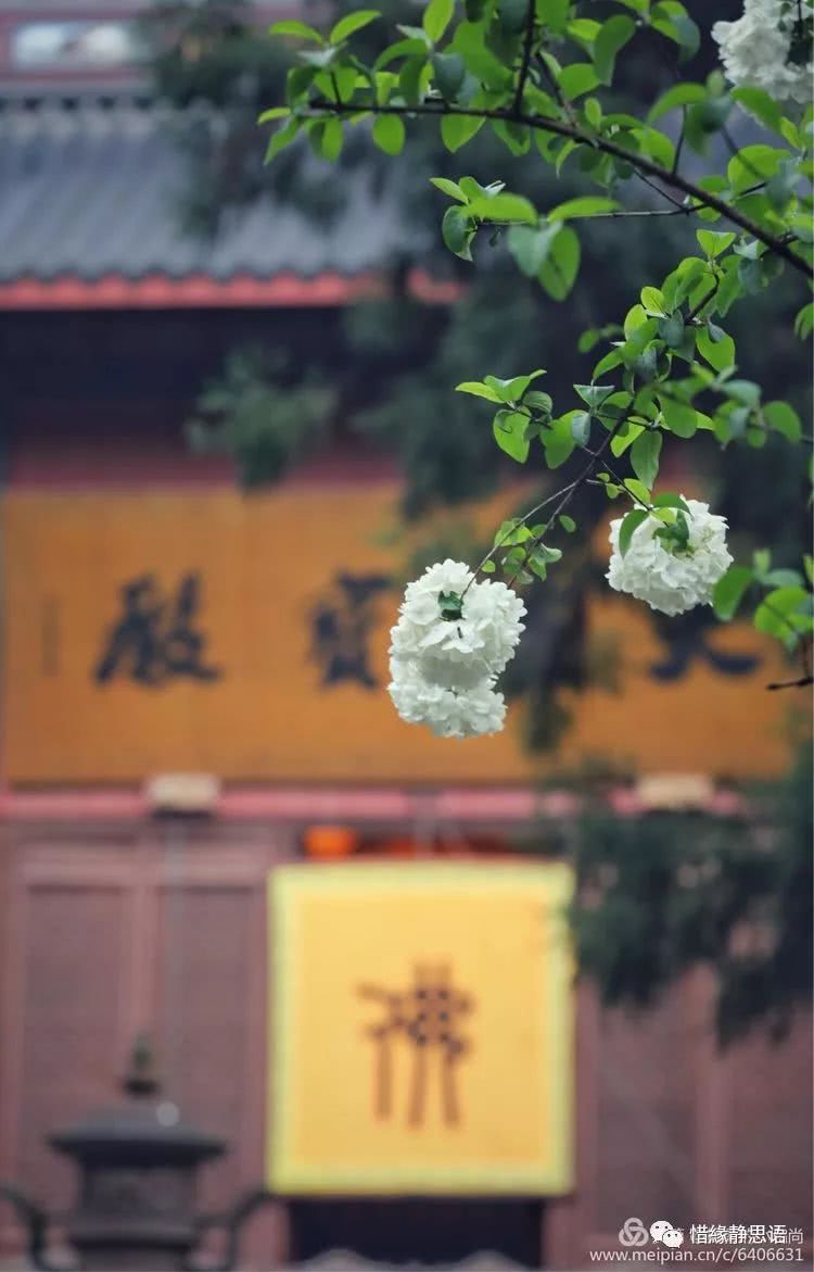 觅禅踪佛国佛系摄影