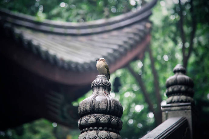 唯思竹中趣,飘然忘尘世.