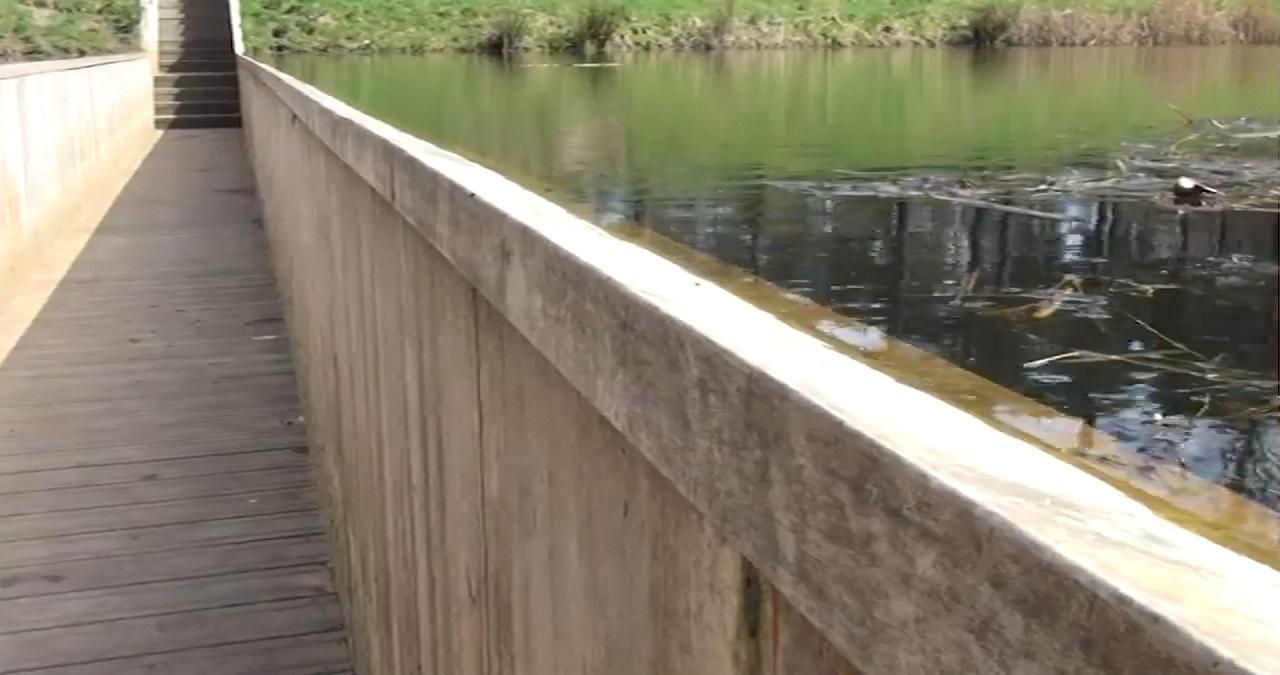 神奇水下之桥比水面还低1米敢走的人不怕水淹吗