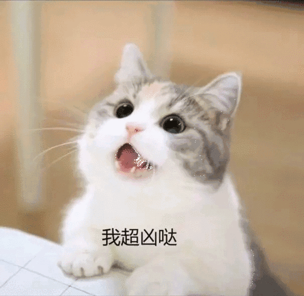 QQ表情包下载：丰富你的在线沟通世界