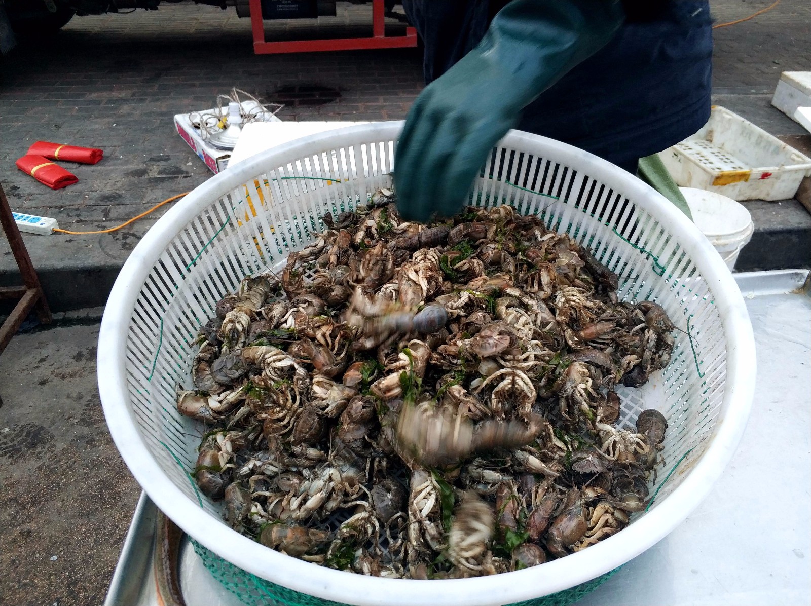 青岛逛晚市 纯野生"海蜂子"25元一斤 皮皮虾价高 摊主进货谨慎