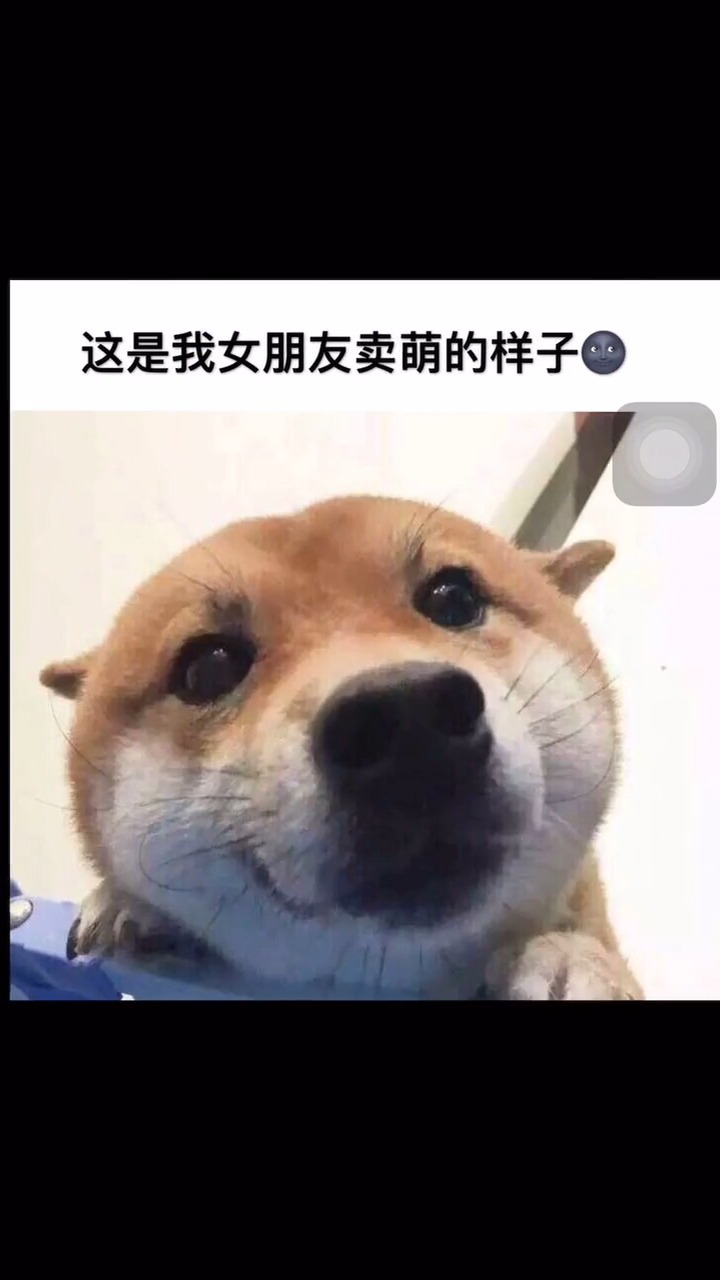 这是我女朋友日常的样子 有一样的吗