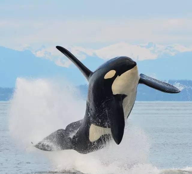 2018全球最佳旅行国家加拿大29个国宝级的奇特地貌景观