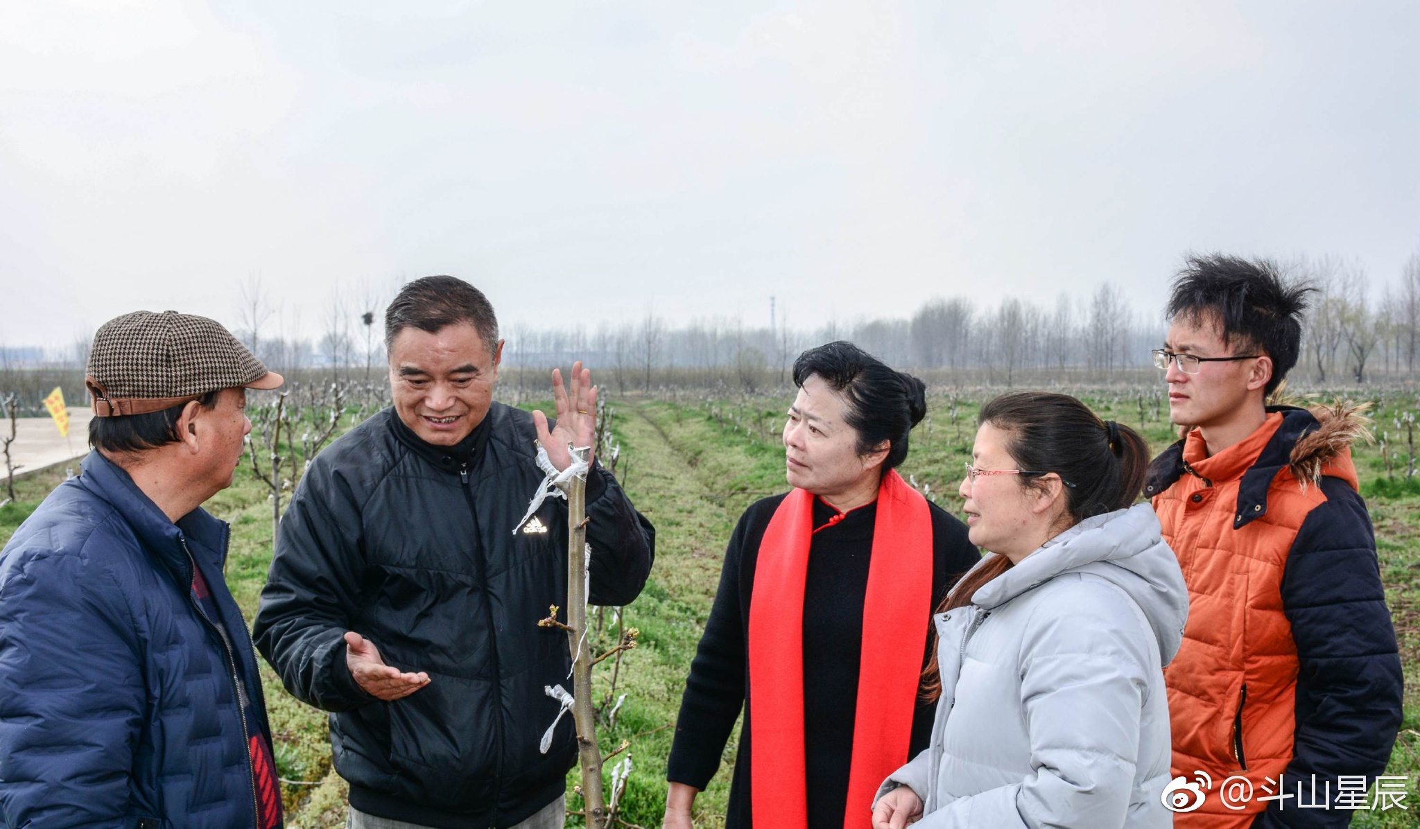牵手小岗村梨园公社做好梨文章_新浪看点