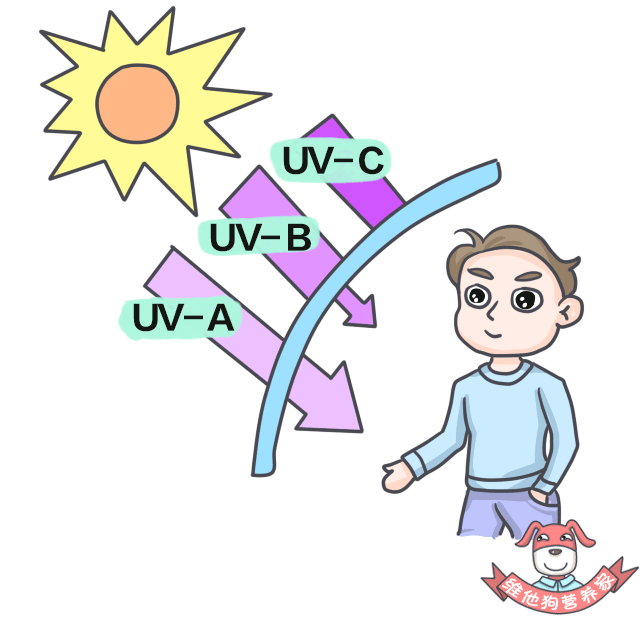 防晒霜|紫外线|皮肤_新浪新闻