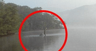 专家证实湖北神农架长潭惊现水怪属实