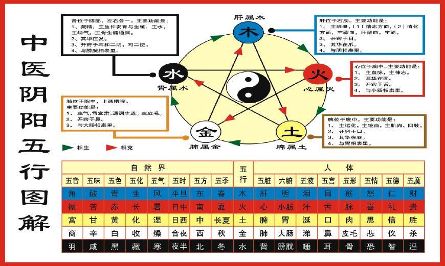 中医浅谈:肝者,干者!现代人肝脏不可承受之重