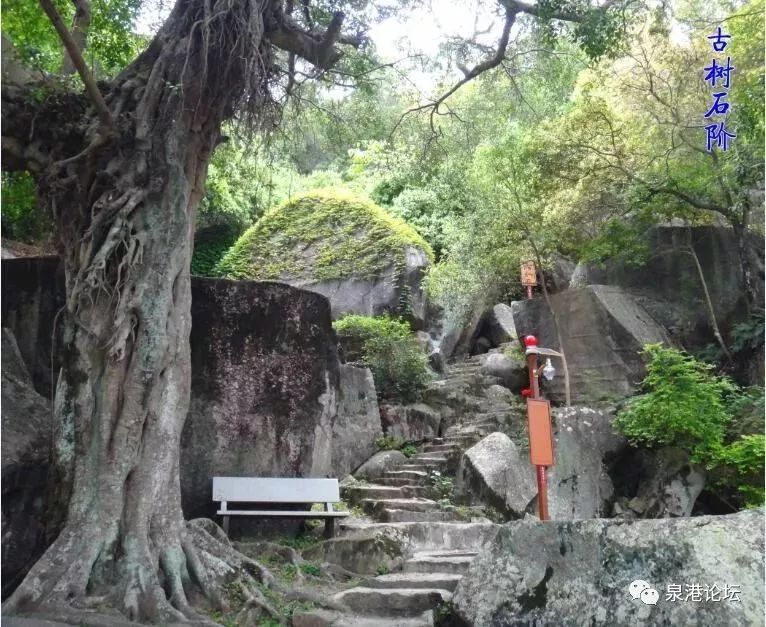 泉港千年古剎虎巖寺虎巖寺,原名崑山寺,位於泉州泉港區塗嶺鎮崑山南面