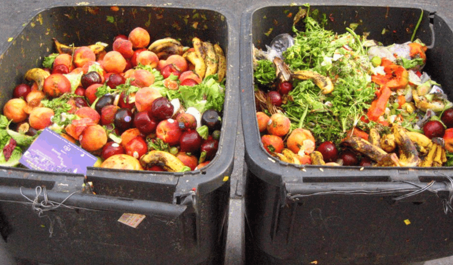 美国人追求完美主义, 每年浪费无数的蔬菜瓜果|完美主义|美国人|垃圾