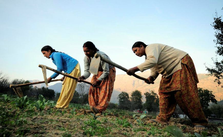 实拍印度农民的真实生活,妇女耕地,跋涉数公里去打水__财经头条
