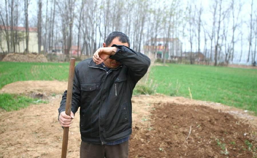 明年开始, 农村有3个困难需要克服, 农民要坚强, 努力的熬过去!