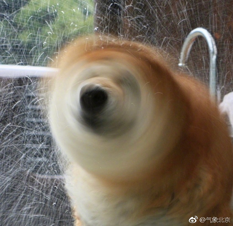 转发这组小柴电风扇这个夏天可以过的凉快些