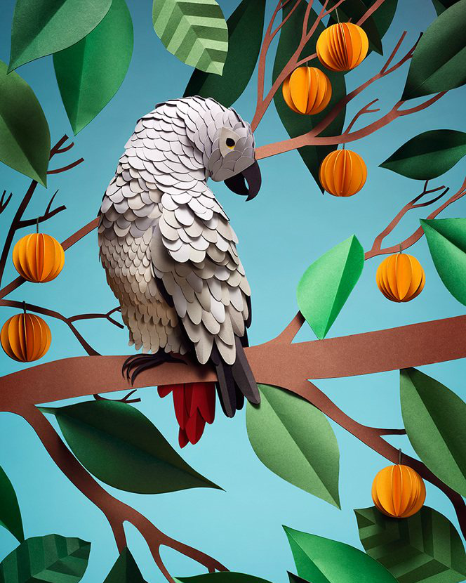 动物创意剪纸不认真看还真看不出是剪出来的