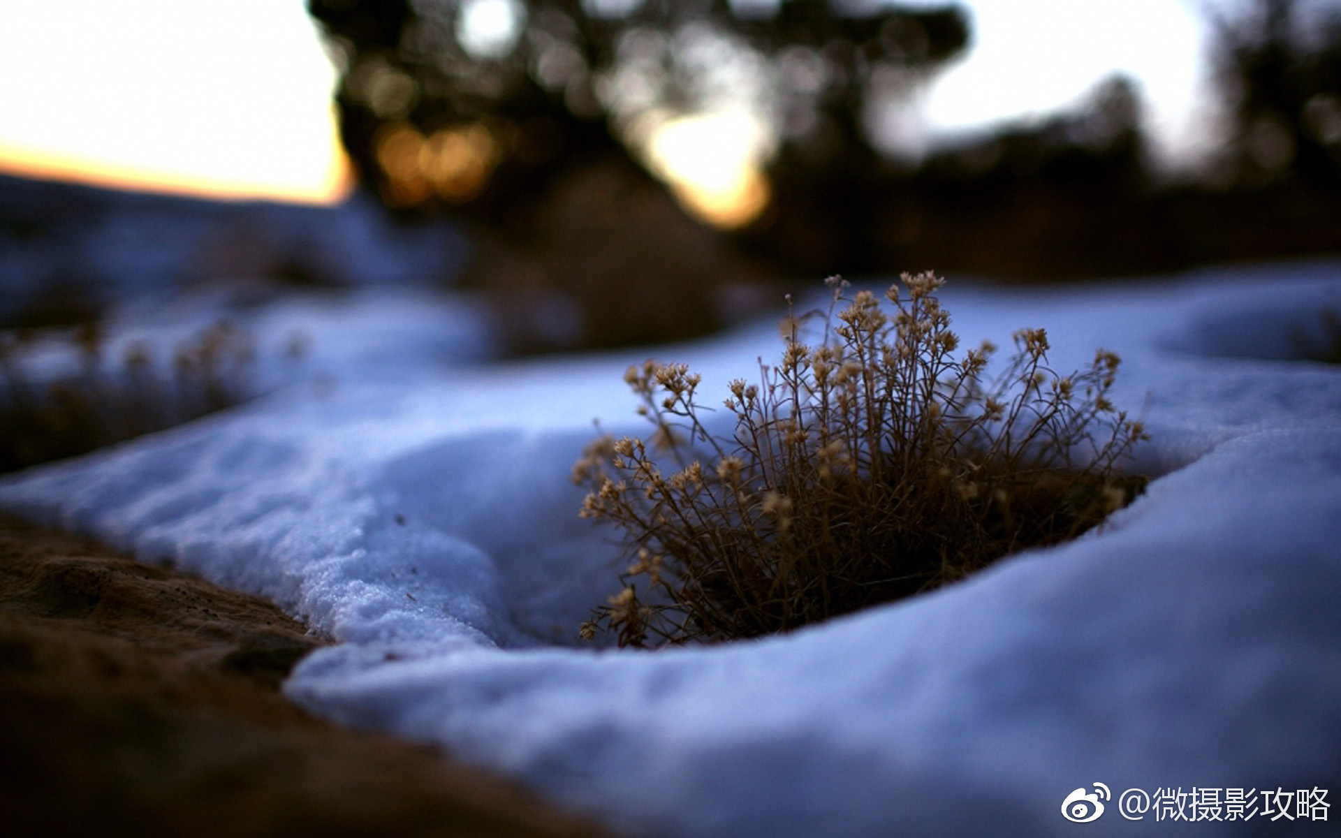 静物唯美意境图片是一组关于光影的静物摄影图片