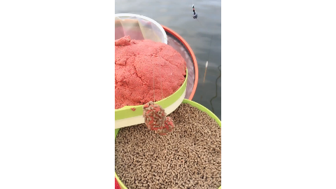 黑坑钓鱼中软粘饵料沾麻团不会的钓友学起来