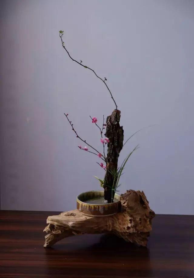 文人插花重诗情重意境寄情遣怀