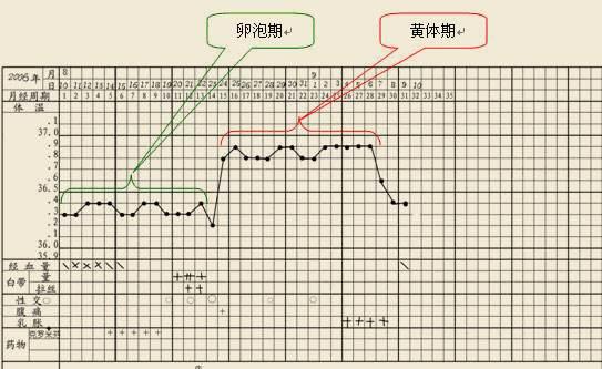 正常女性的基础体温以排卵日为分界点,呈现前低后高的状态,也就是医学