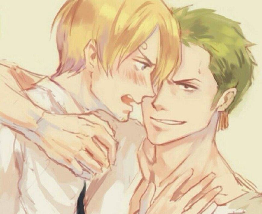 海贼王索香cp,带走吧|海贼王|山治|索隆_新浪新闻