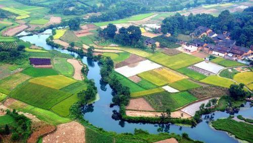 李商隐一首诗描写菊花,全文无一个花字,却物我